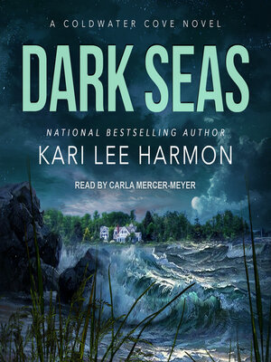 cover image of Dark Seas
